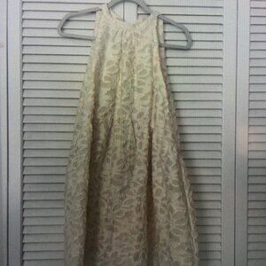 Elegant Cream Lace Dress